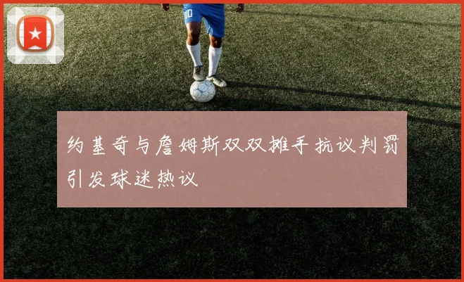 约基奇与詹姆斯双双摊手抗议判罚引发球迷热议