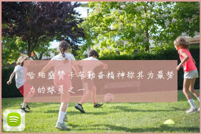 哈珀盛赞卡布勤奋精神称其为最努力的球员之一